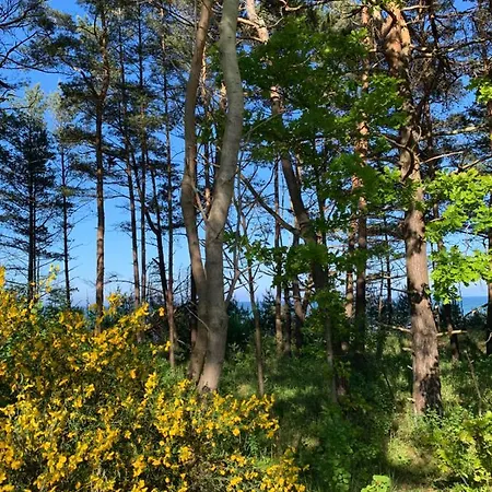 Prora - Designapartment Sir Henry Binz