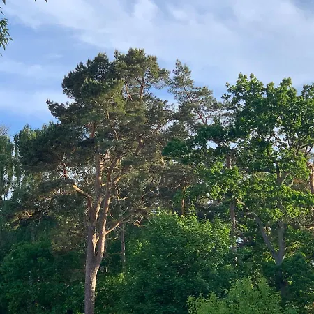 Prora - Designapartment Sir Henry